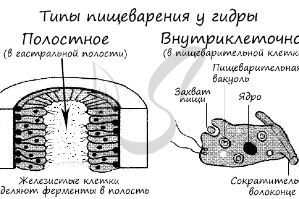 Как отличить оригинальный сайт кракена