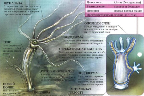 Кракен kr2web in маркетплейс ссылка